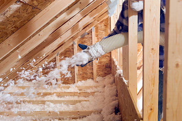 Insulating a shed with blown-in cellulose