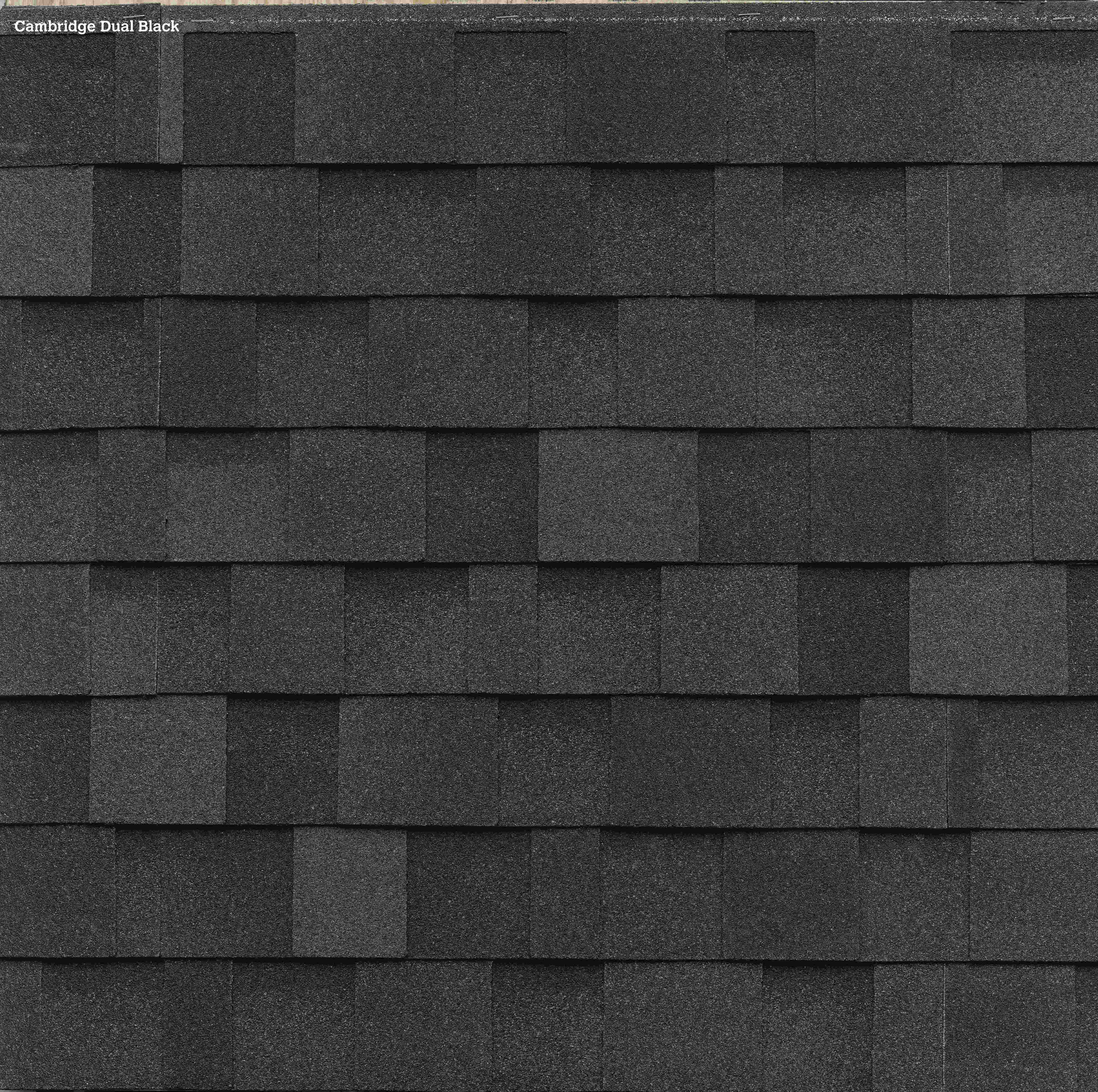 Dual Black Architectural Shingles Shed Color