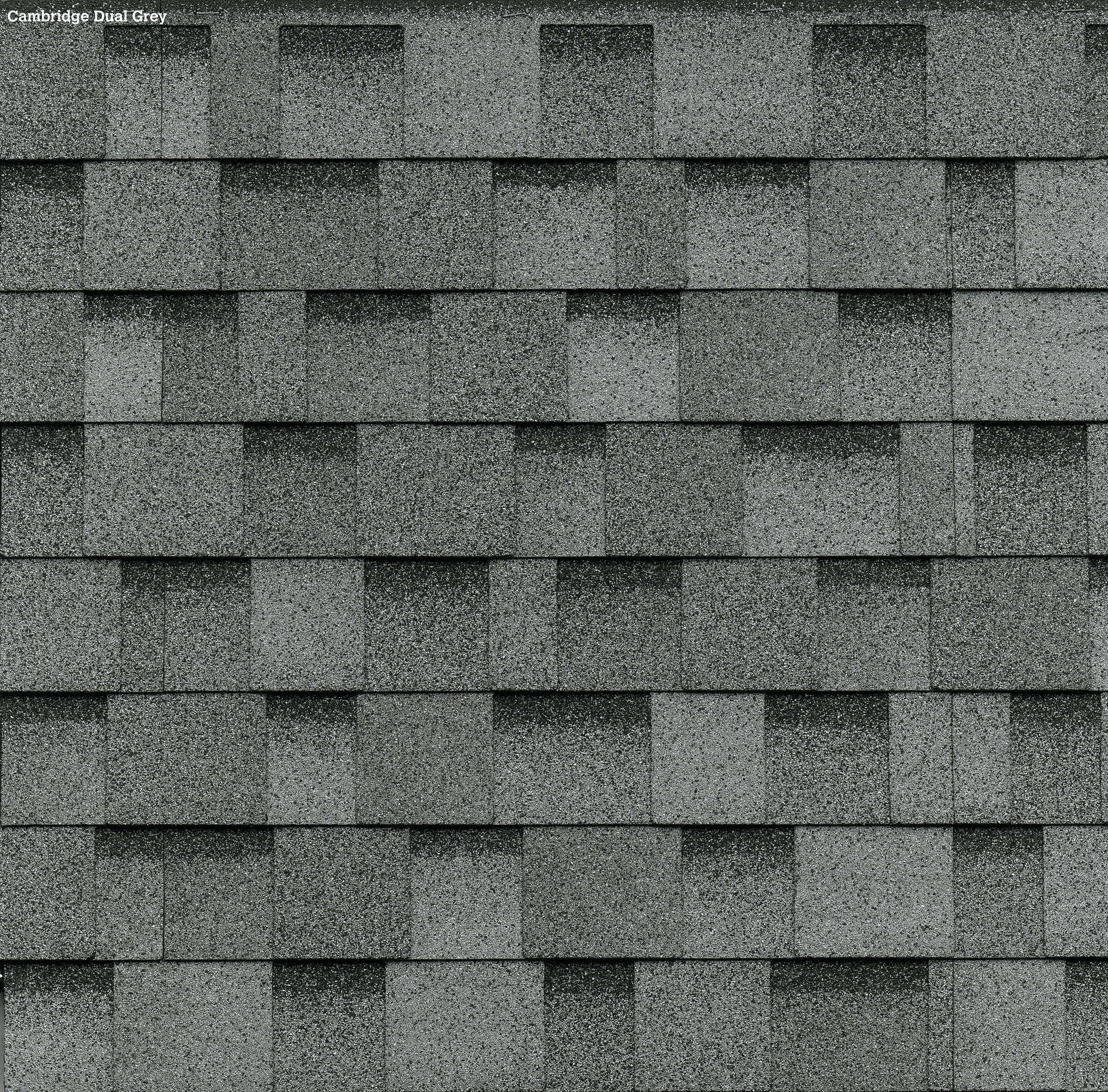 Dual Gray Architectural Shingles Shed Color