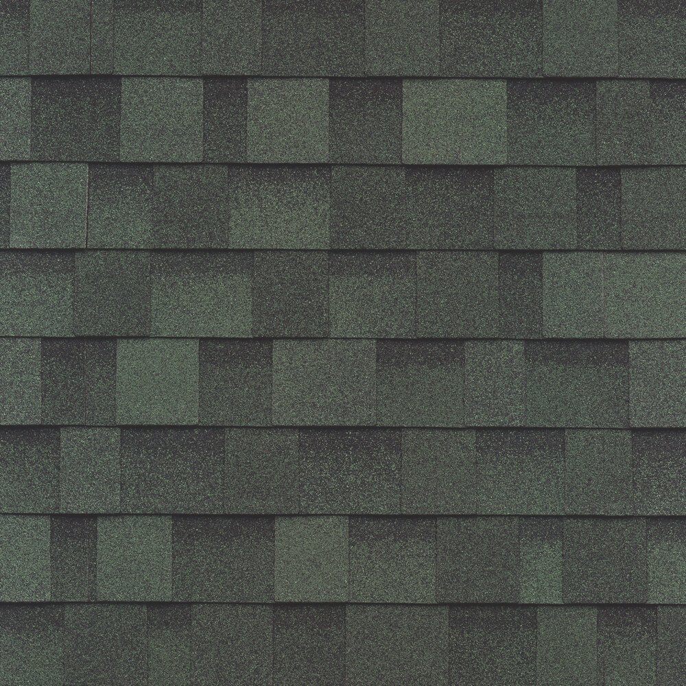 Emerald Green Architectural Shingles Shed Color